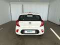 Kia Picanto 1.0 ACTIVE Bianco - thumbnail 4