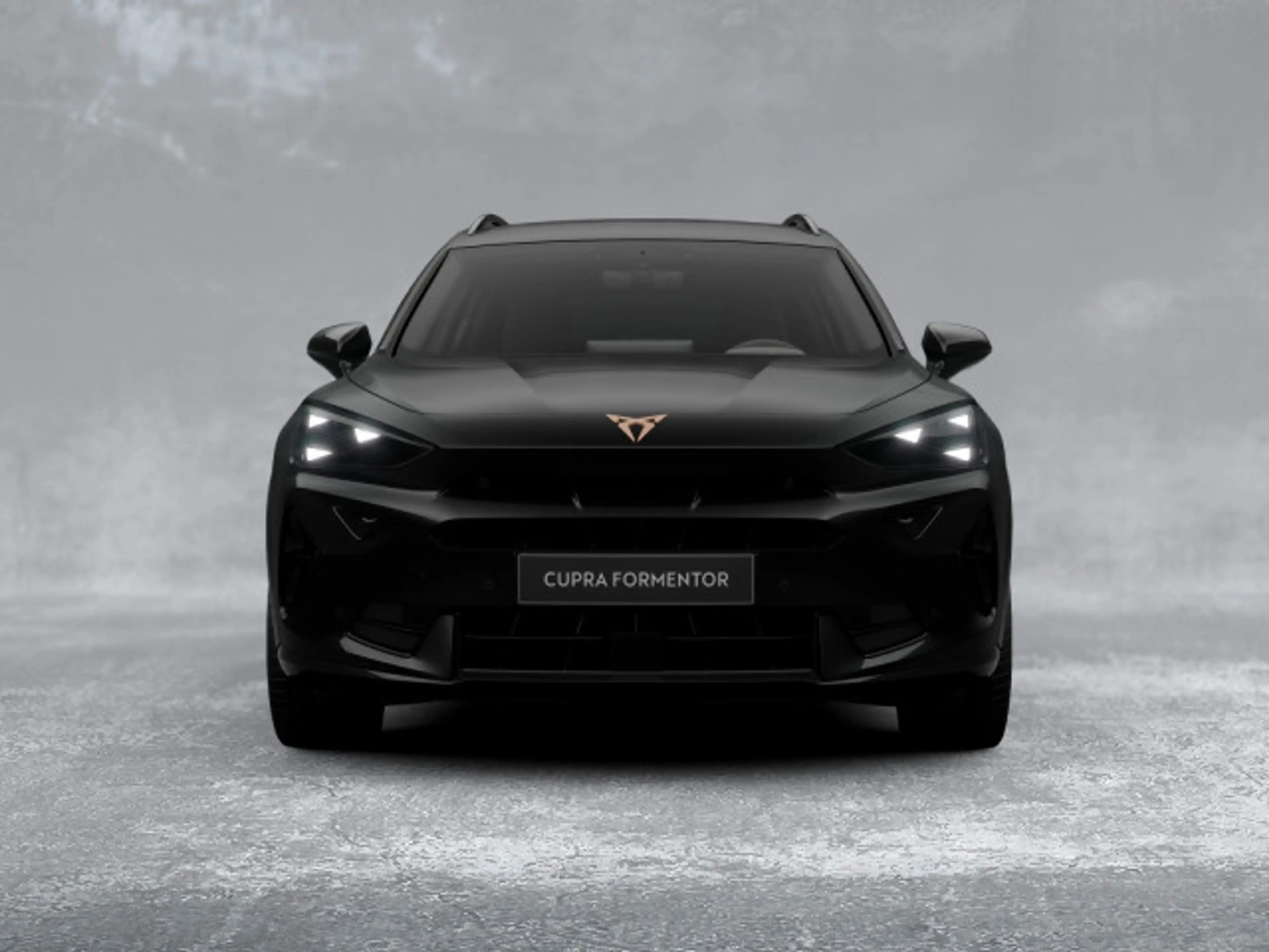 CUPRA Formentor 2.0 TDI DSG LED+APP+NAVI+ACC+SHZ+360° — photo 3