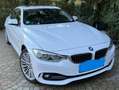 BMW 435 435d Coupe xDrive Sport-Aut. Luxury Line Weiß - thumbnail 1