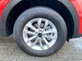 Kia Sportage Final Edition, AHK, Kamera Rot - thumbnail 13
