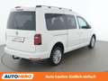 Volkswagen Caddy 2.0 TDI Maxi Highline 4Motion BlueMotion Weiß - thumbnail 6