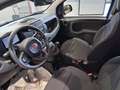 Fiat Panda Pandina 1.0 70Cv firefly hybrid s&s Blu/Azzurro - thumbnail 14