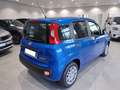 Fiat Panda Pandina 1.0 70Cv firefly hybrid s&s Blu/Azzurro - thumbnail 6