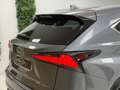 Lexus NX 300 300h Premium+ 4WD Gris - thumbnail 10