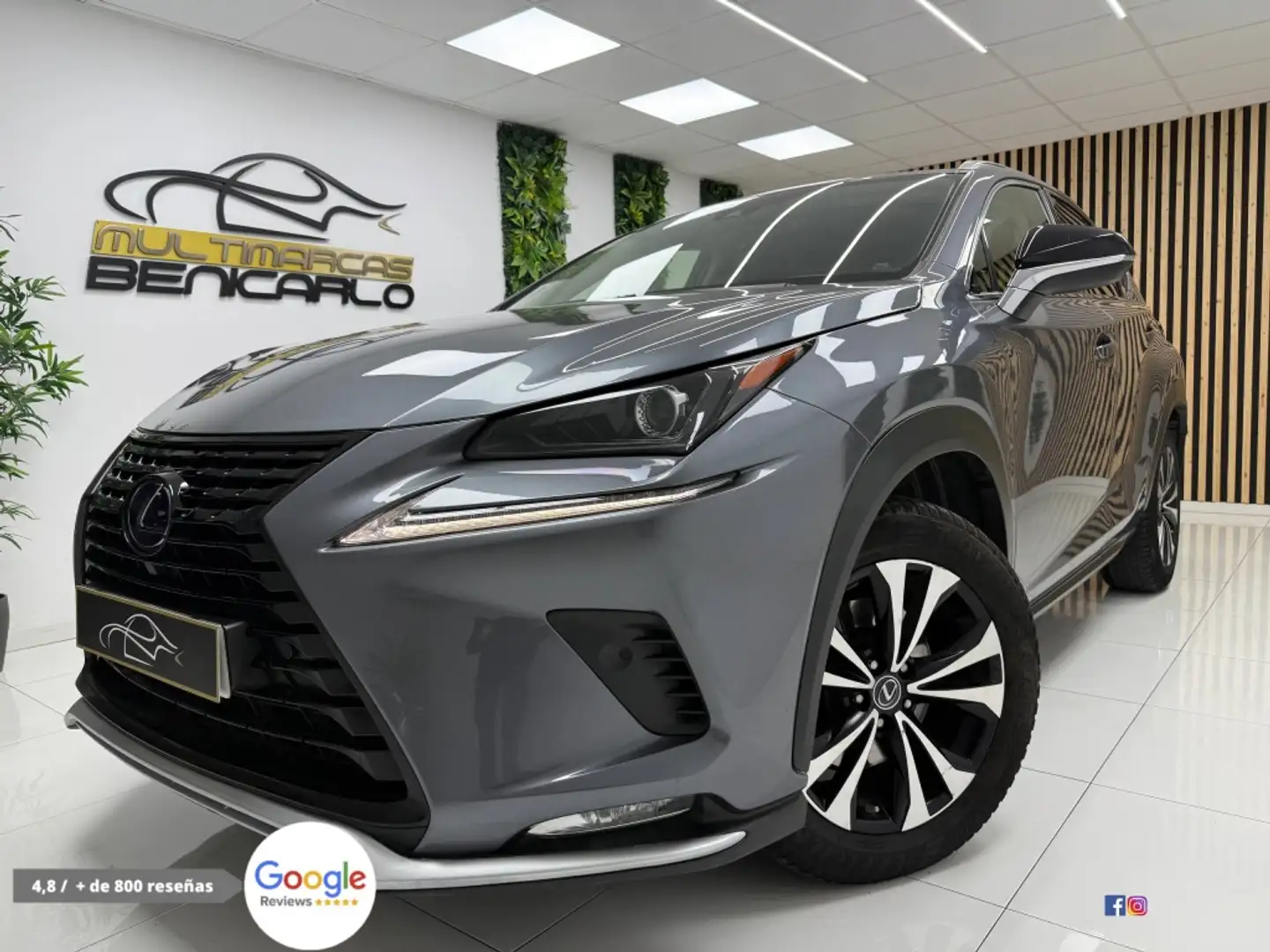 Lexus NX 300 300h Premium+ 4WD Gris - 2