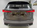 Lexus NX 300 300h Premium+ 4WD Gris - thumbnail 12