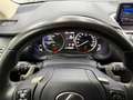 Lexus NX 300 300h Premium+ 4WD Gris - thumbnail 20
