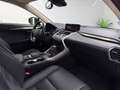 Lexus NX 300 300h Premium+ 4WD Gris - thumbnail 26