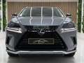 Lexus NX 300 300h Premium+ 4WD Gris - thumbnail 5
