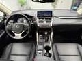 Lexus NX 300 300h Premium+ 4WD Gris - thumbnail 18