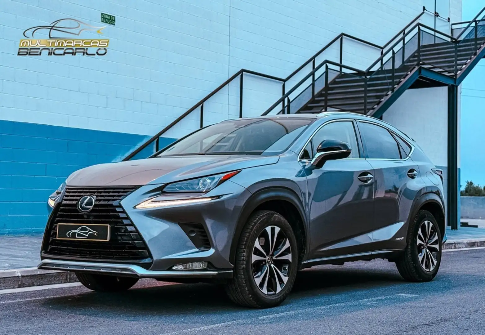 Lexus NX 300 300h Premium+ 4WD Gris - 1