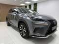 Lexus NX 300 300h Premium+ 4WD Gris - thumbnail 7