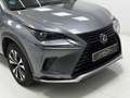 Lexus NX 300 300h Premium+ 4WD Gris - thumbnail 8