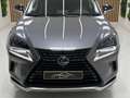 Lexus NX 300 300h Premium+ 4WD Gris - thumbnail 6