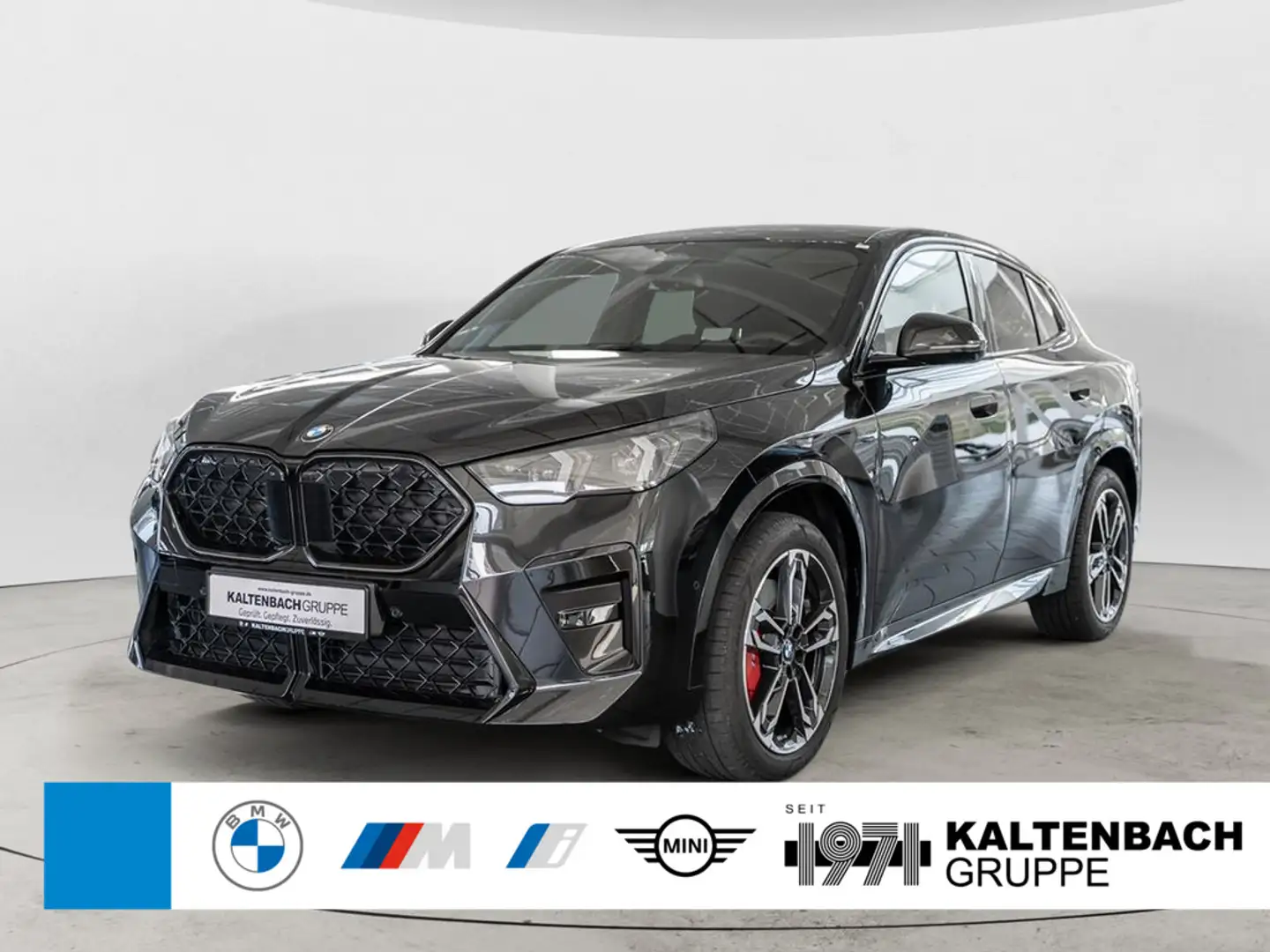 BMW X2 sDrive 20i M-Sportpaket Pro AHK HUD 360° Schwarz - 1