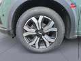 Dacia Sandero 1.0 ECO-G 100ch Stepway Expression Vert - thumbnail 10