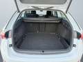 Skoda Octavia Combi Style 1.5 TSI Head-Up Display Weiß - thumbnail 14