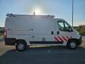 Fiat Ducato 35 3.0 CNG PM-Tn Furgone OFFICINA Wit - thumbnail 4