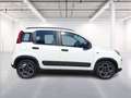 Fiat Panda 1.0 firefly hybrid City Life s&s 70cv Wit - thumbnail 8