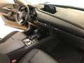 Mazda CX-30 2.0  150 PS Automatik Selection Gris - thumbnail 18