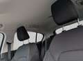 Ford Focus 1.0 EcoBoost Hybrid Aut. TITANIUM EDITION 11 Grau - thumbnail 16