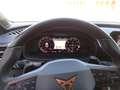 CUPRA Leon Leon 2.0 tsi 245cv dsg Bianco - thumbnail 13