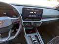 CUPRA Leon Leon 2.0 tsi 245cv dsg Bianco - thumbnail 14