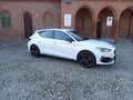 CUPRA Leon Leon 2.0 tsi 245cv dsg Bianco - thumbnail 3