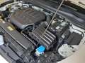 CUPRA Leon Leon 2.0 tsi 245cv dsg Bianco - thumbnail 15