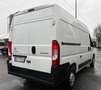 Citroen Jumper 35 BlueHDi 140 S&S PM-TM Furgone Weiß - thumbnail 4