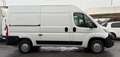 Citroen Jumper 35 BlueHDi 140 S&S PM-TM Furgone Weiß - thumbnail 3