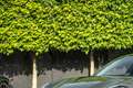 Porsche Panamera 4 Hybrid Sport Turismo Platinum SportDesign | 4Wst Groen - thumbnail 10