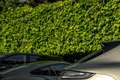 Porsche Panamera 4 Hybrid Sport Turismo Platinum SportDesign | 4Wst Groen - thumbnail 13
