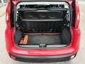 Fiat Panda 🟢1.2 ESSENCE 69CV -  1ER PROPRI - 5 PORTES Rouge - thumbnail 13