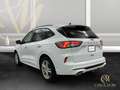 Ford Kuga 2.0 EcoBlue ST-Line X Auto Leder Navi LED Blanc - thumbnail 3