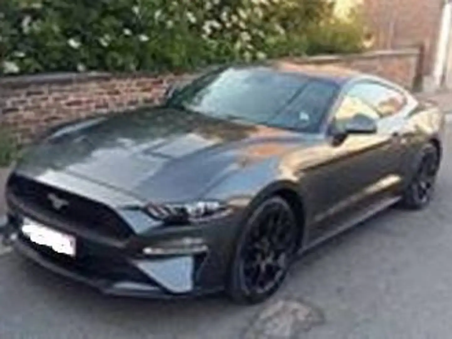 Ford Mustang 2.3 EcoBoost Grijs - 2