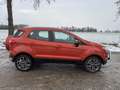 Ford EcoSport Titanium, HU/AU 01.2028, Inkl 1 Jahr Garantie,AHK Orange - thumbnail 11