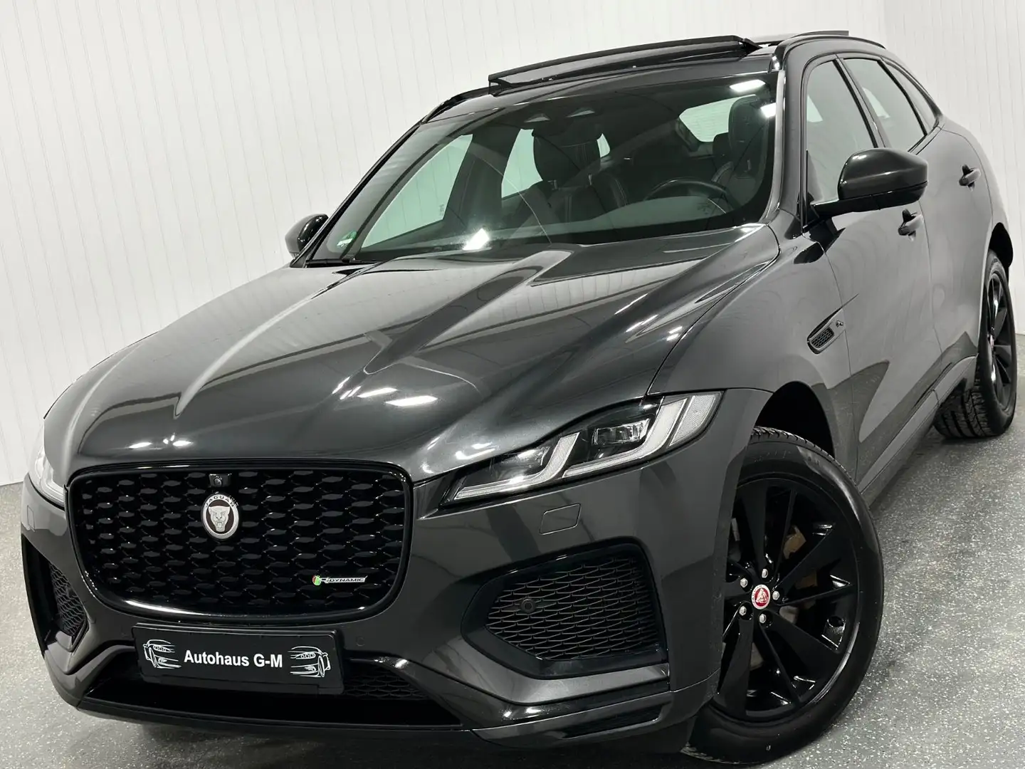 Jaguar F-Pace R-Dynamic/FACELIFT/PANO/VIRTUEL/BLACKPACK Gris - 2