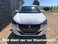 Peugeot 208 Hybrid 110 Allure e-DCS6 Weiß - thumbnail 2