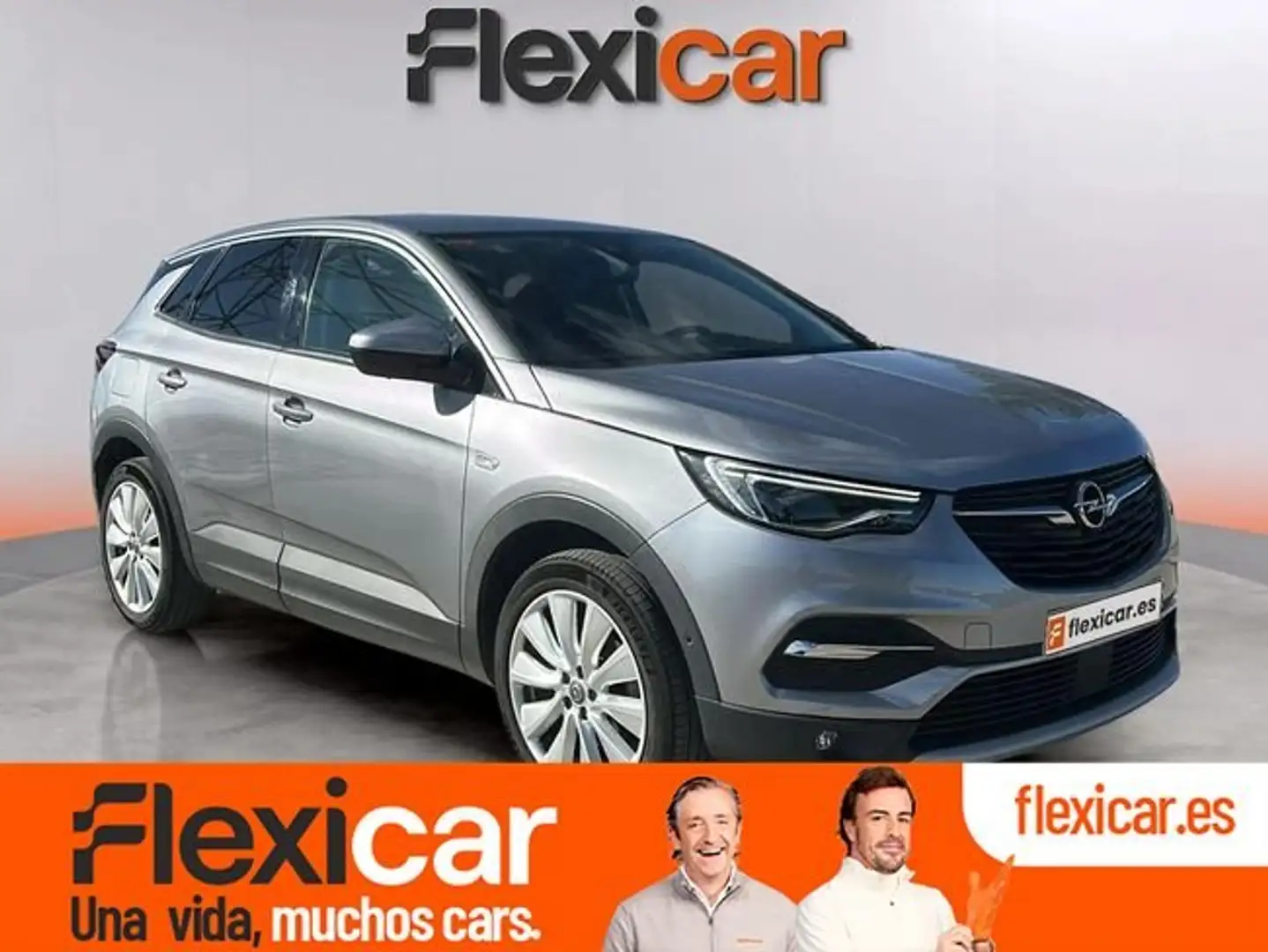 Opel Grandland X 1.2 Turbo Design Line Grijs - 1