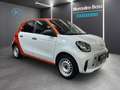 smart forFour EQ PURE DAB+TEMPOMAT+22KW-LADER+KLIMAAUT Weiß - thumbnail 4