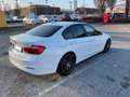 BMW 316 316d Bianco - thumbnail 2