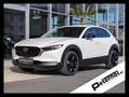 Mazda CX-30 2.5 G140  6AT HOMURA Weiß - thumbnail 1