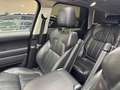 Land Rover Range Rover Sport 3,0 TDV6 SE Grau - thumbnail 19