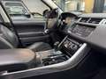 Land Rover Range Rover Sport 3,0 TDV6 SE Grau - thumbnail 12