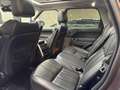 Land Rover Range Rover Sport 3,0 TDV6 SE Grau - thumbnail 20