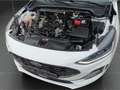 Ford Focus ST-Line 1.0 EcoBoost Mild-Hybrid EU6d Blanc - thumbnail 19