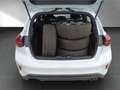 Ford Focus ST-Line 1.0 EcoBoost Mild-Hybrid EU6d Blanc - thumbnail 18