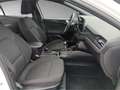 Ford Focus ST-Line 1.0 EcoBoost Mild-Hybrid EU6d Blanc - thumbnail 16