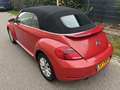 Volkswagen Beetle Cabriolet 1.6 TDI Design / NAVI / AIRCO Rood - thumbnail 19